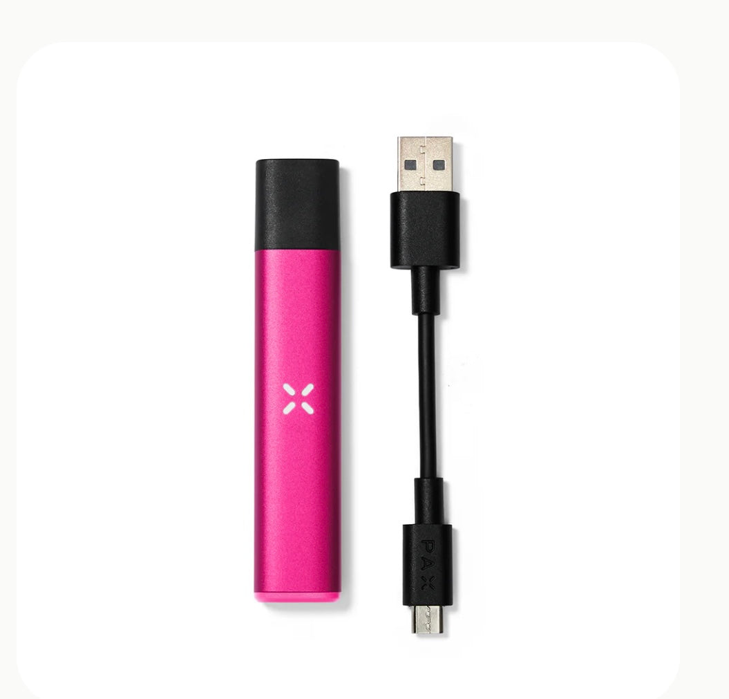 Pax era - DayDreamz Smoke Shop