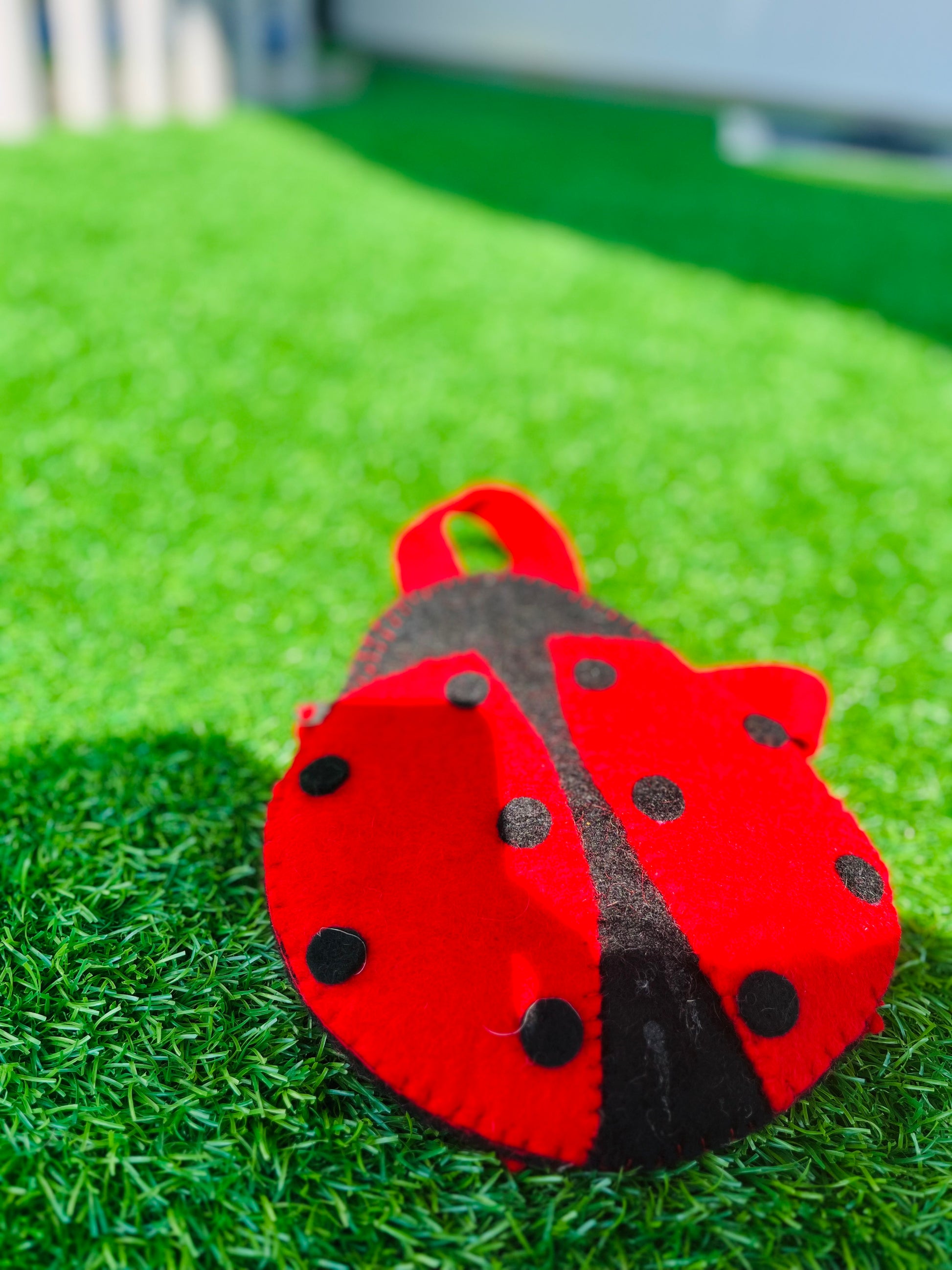 Lady Bug Bag - DayDreamz Smoke Shop