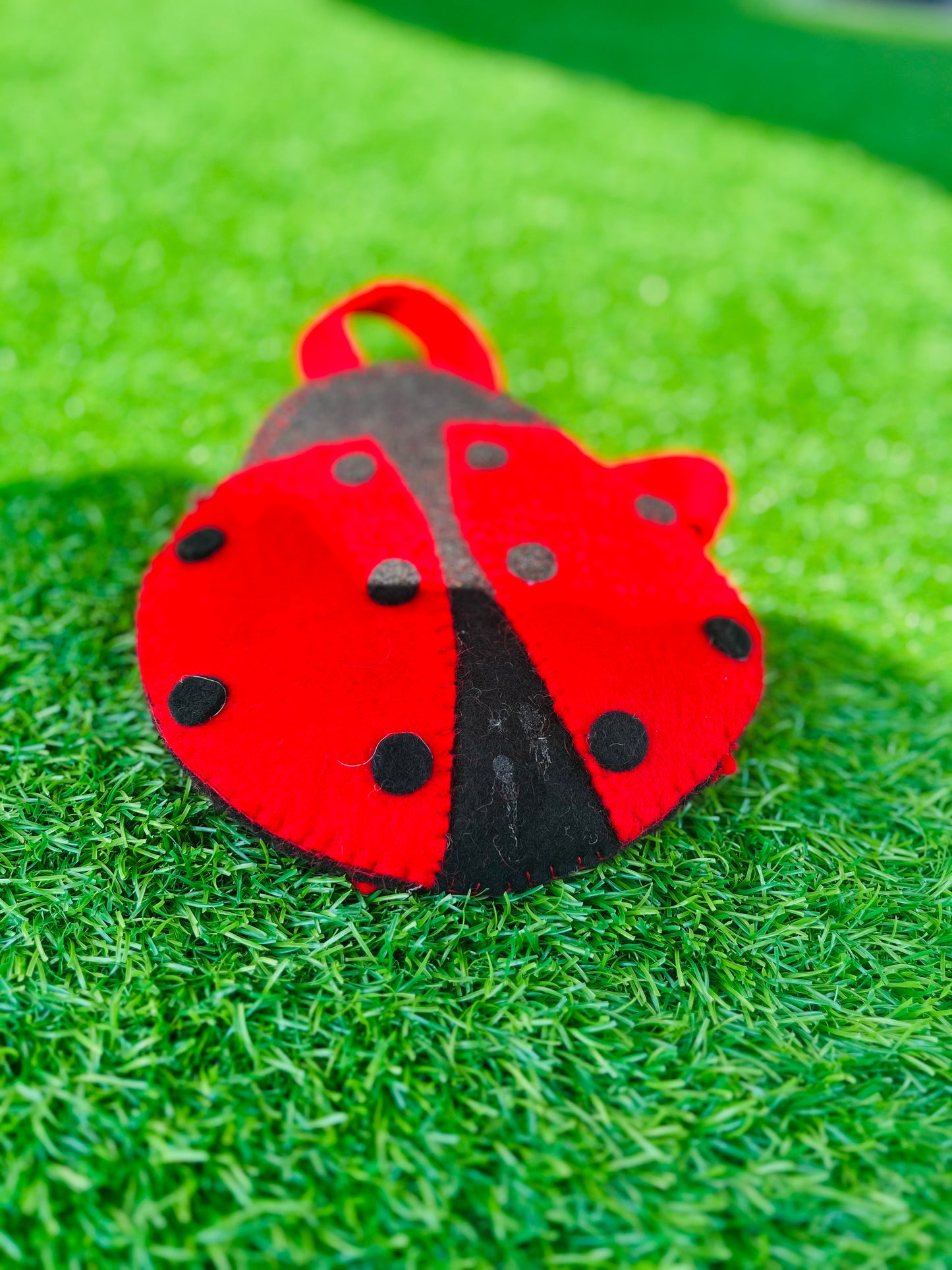 Lady Bug Bag - DayDreamz Smoke Shop