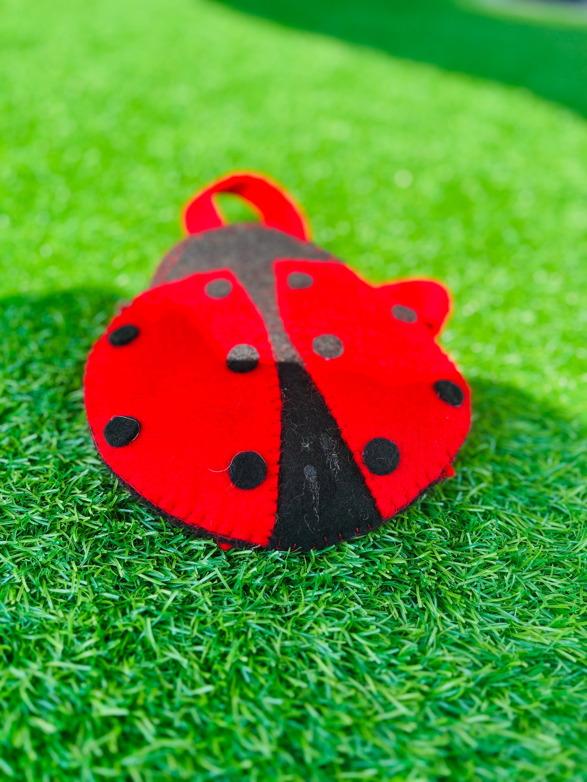 Lady Bug Bag - DayDreamz Smoke Shop