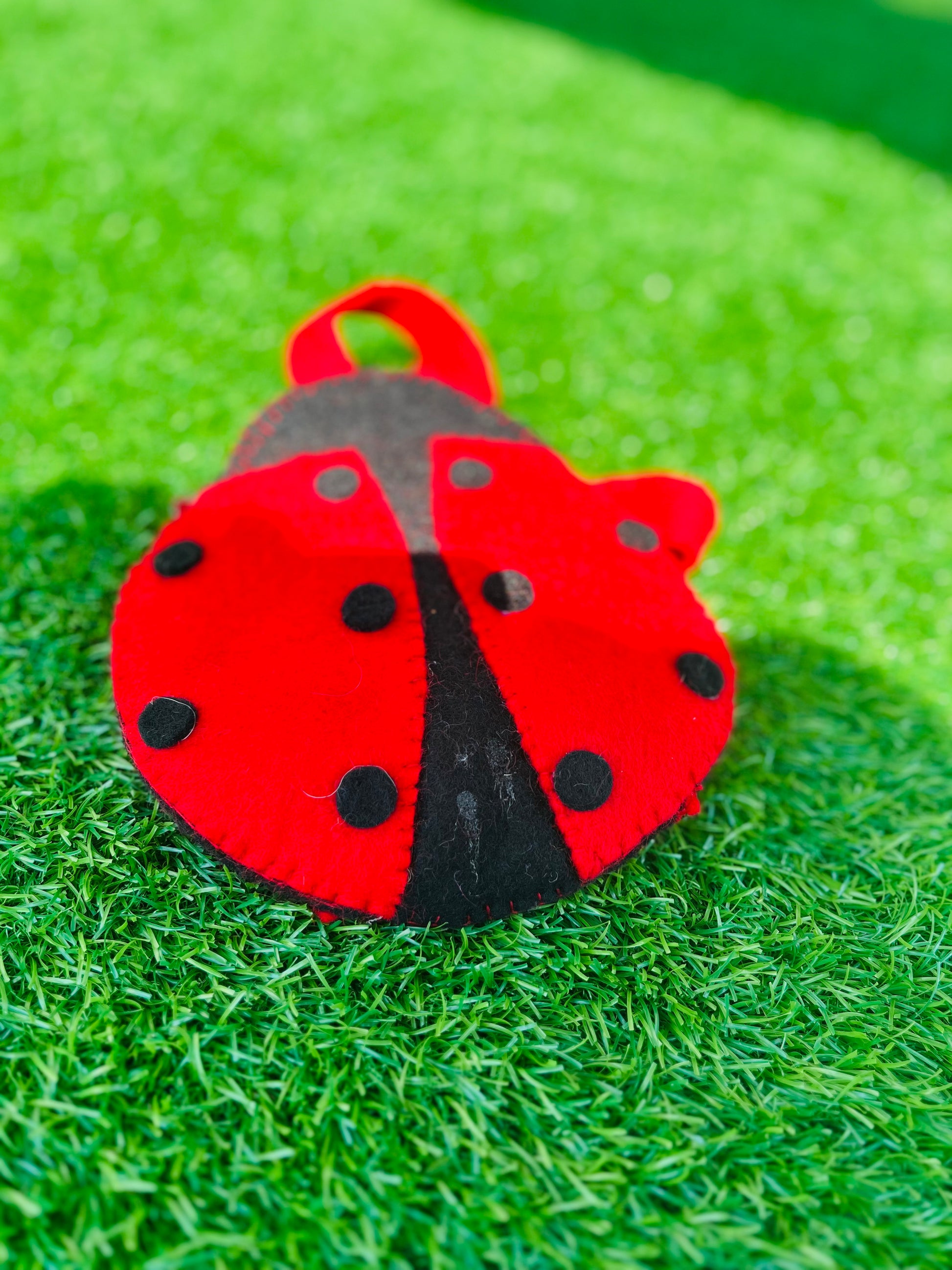 Lady Bug Bag - DayDreamz Smoke Shop